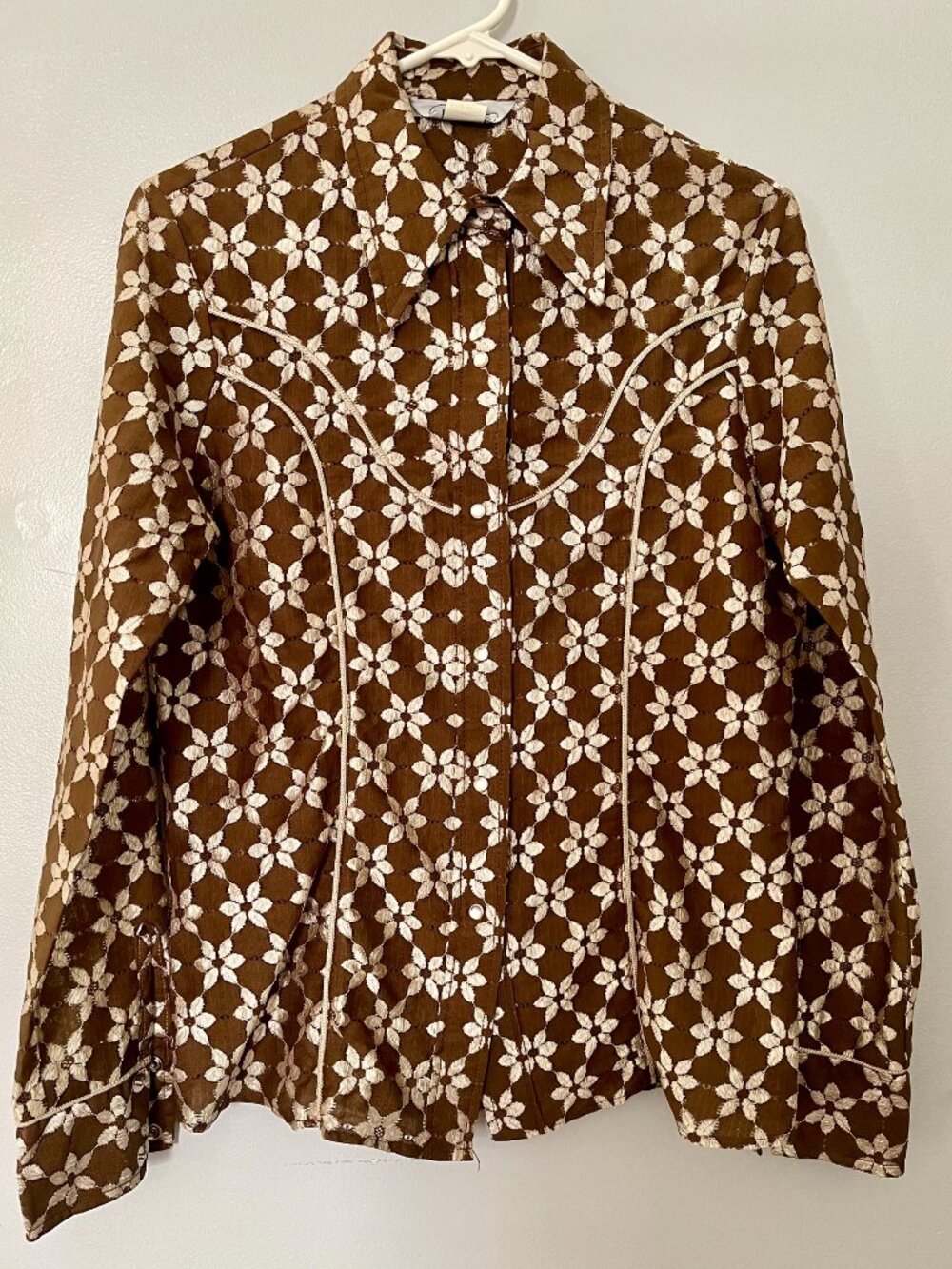 Vintage Larry Mahan Brown Western Shirt